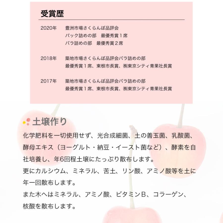 松栗農園 さくらんぼ 佐藤錦 山形県産 特秀700g  バラ詰 送料無料｜yamagatamaru｜05