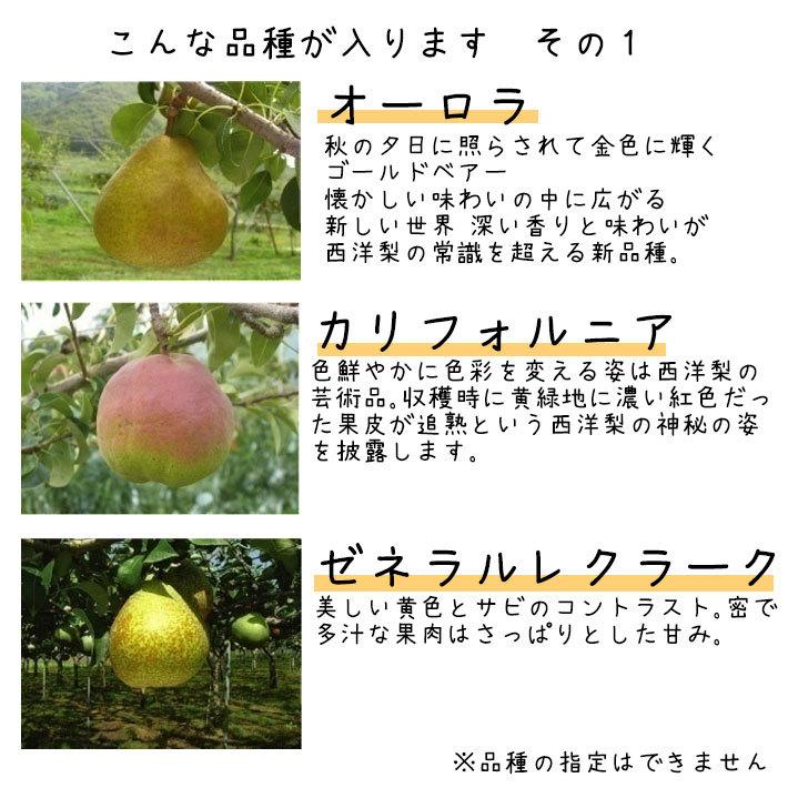 コミス　山形県産　９個入　３キロ箱　２箱 楽天市場】洋梨 コミスの通販