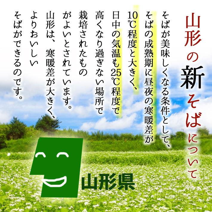 新そば 蕎麦 山形生そばセット 5人前 山形県産でわかおり使用 11/19 20発送 山形県東根産本わさび付 送料無料｜yamagatamaru｜03