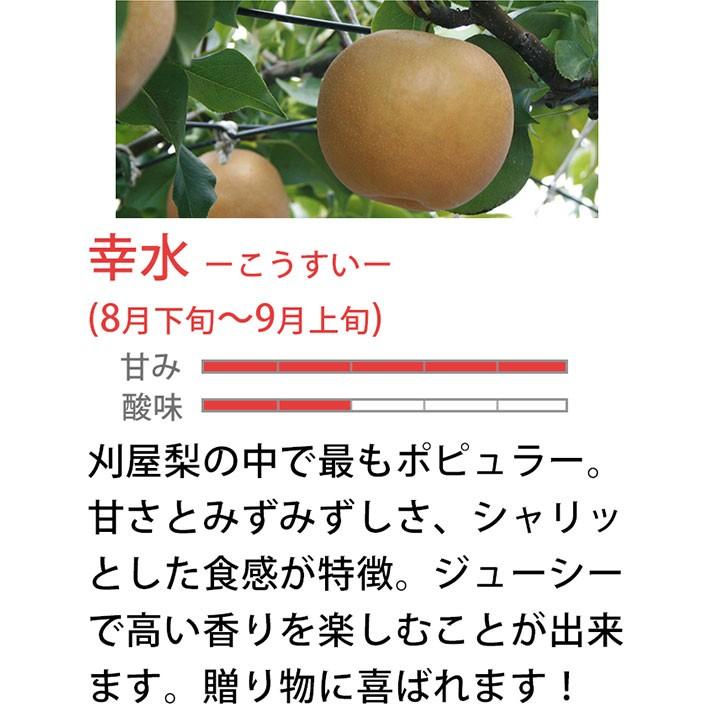 フルーツ 和梨 幸水 3kg 9月上旬発送 山形県庄内酒田市産 刈屋梨
