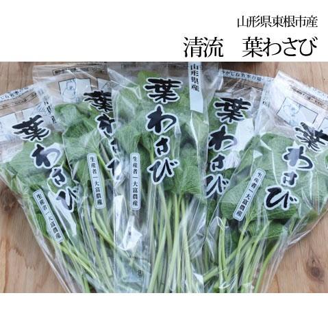 山形県産 葉わさび 80g×10袋 期間限定商品 送料無料 クール便 山形県産 葉わさび 80g×10袋 期間限定商品 送料無料 クール便