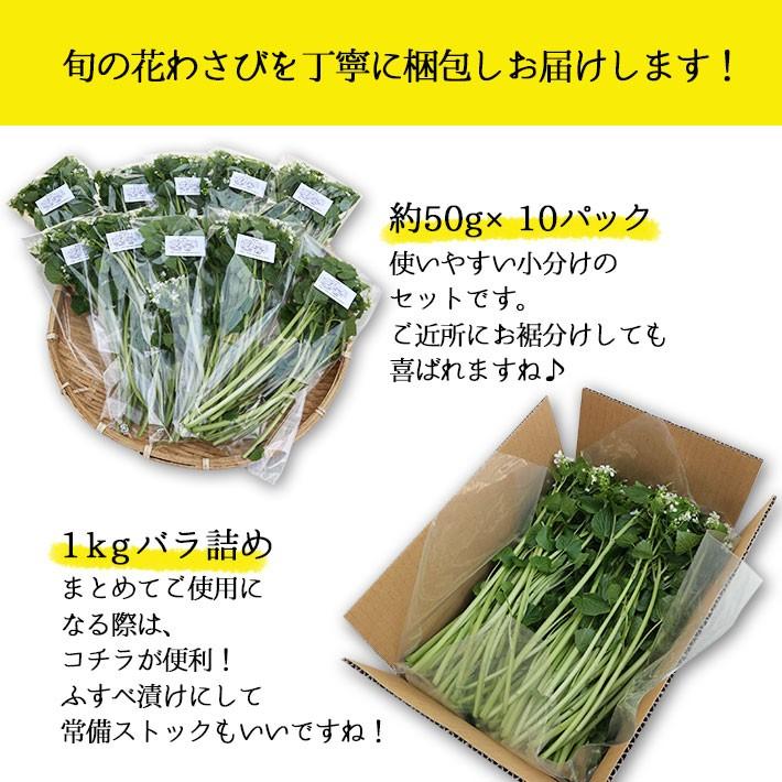 山形県産 葉わさび 90g 10袋 期間限定商品 送料無料 クール便 山形の果物 お酒 まるごと山形 通販 Yahoo ショッピング