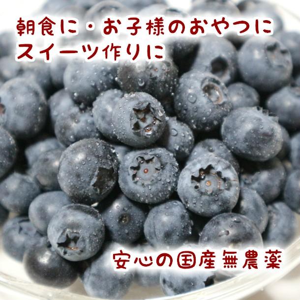 食品 ☆完熟生ブルーベリー2kg☆クール便