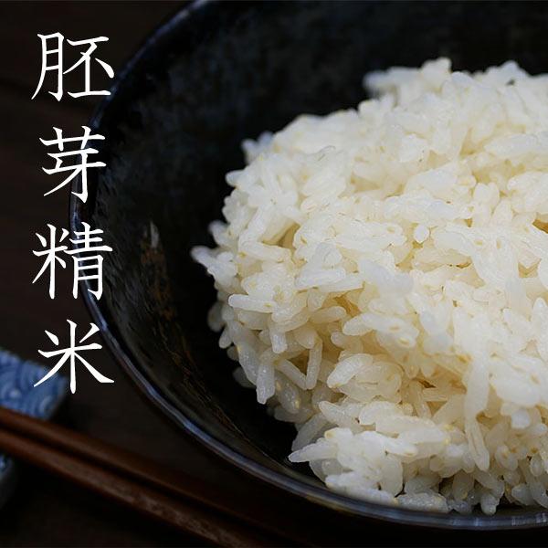 はえぬき 米 2025年度産 令和7年度産 米 無洗米 20kg 胚芽精米 5kg x4