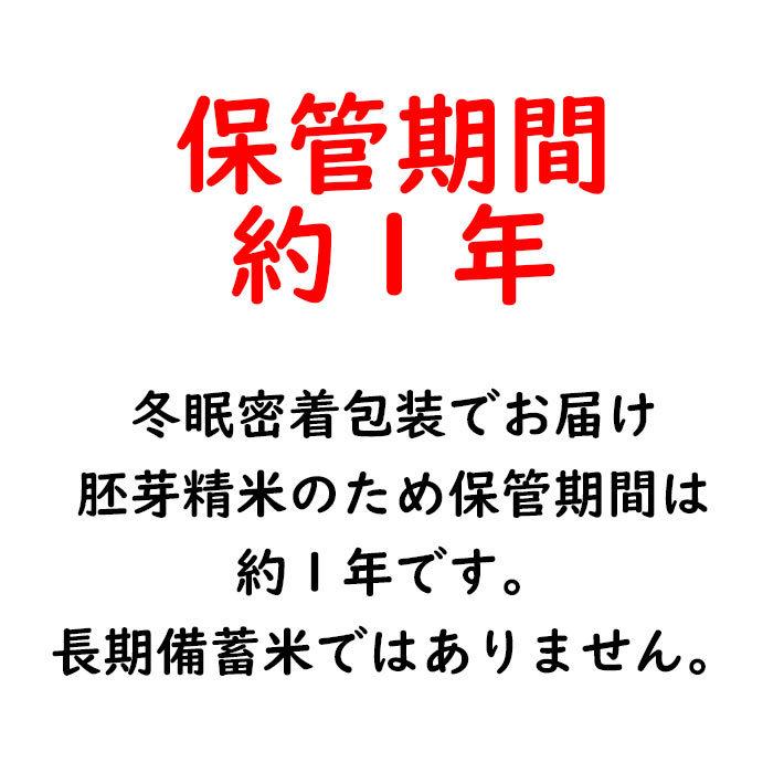 はえぬき 米 2025年度産 令和7年度産 無洗米 5kg 胚芽精米 送料無料 