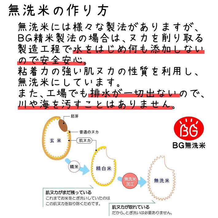 つや姫 新米 2025年度産 令和7年度産 米 10kg お米 長期備蓄 約5年 無