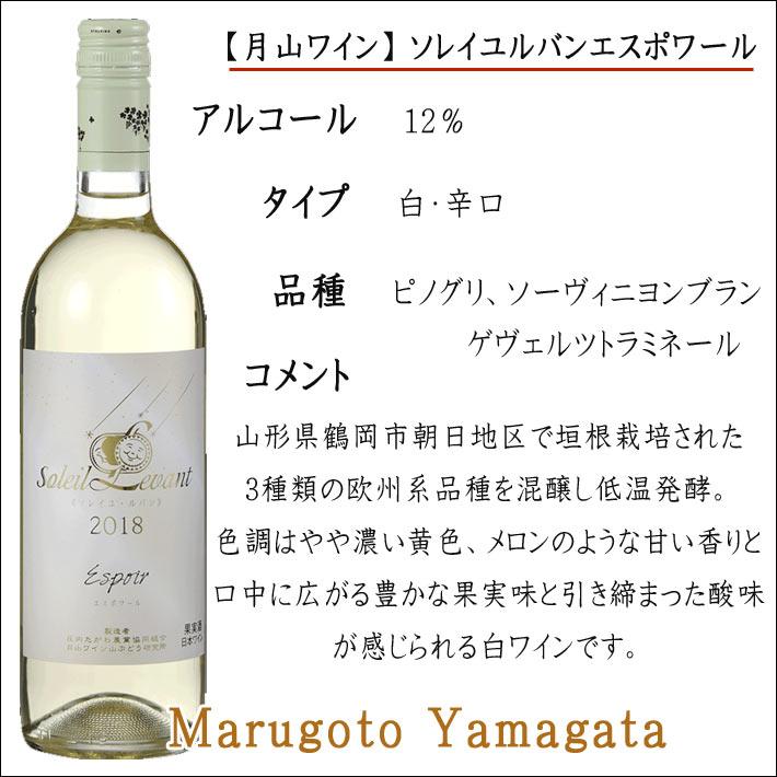最大91 Offクーポン お中元 22 ギフト 白ワイン 月山ワイン ソレイユ ルバン シャルドネ アンウッド 750ml 山形 スティルワイン 月山ワイン山ぶどう研究所 Shipsctc Org