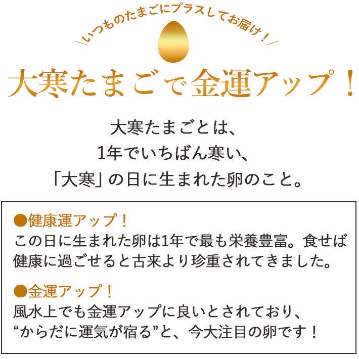 大寒卵 1/20生まれ→1/23頃発送 大寒たまご 名水赤がら 10個入り 山形県産｜yamagatamaru｜02
