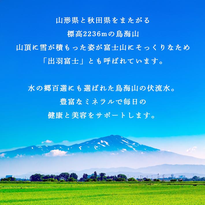 非常食 防災非常食セット 約3〜5人用(極太そば乾麺+訳あり6年保存水+芋煮レトルト食品) 【2個口】保存食 備蓄食料 ローリングストック対応 家庭用 防災グッズ_3