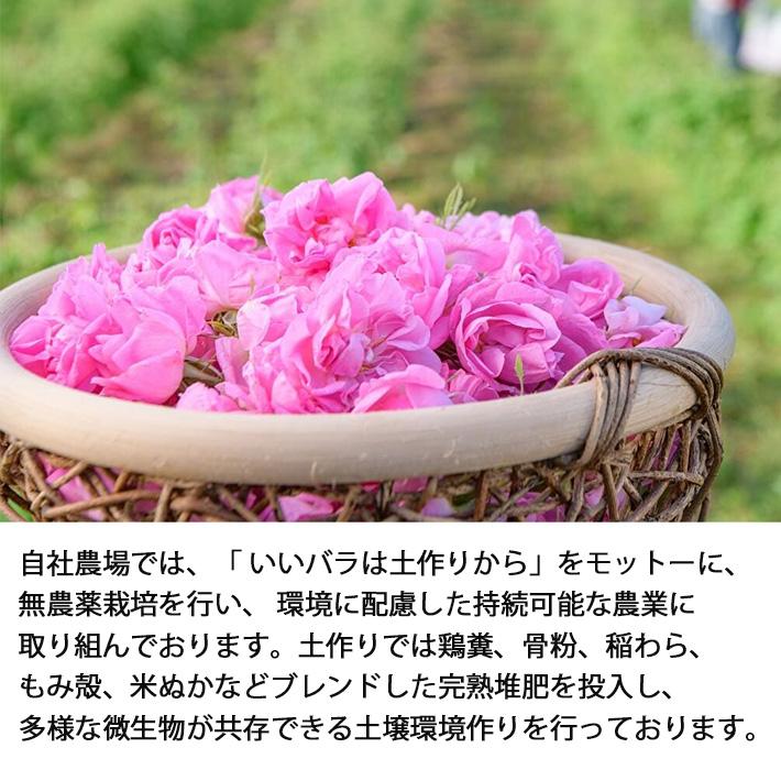 パーソナルコスメディック（PERSONAL COSMEDIC） 敬老の日ギフト