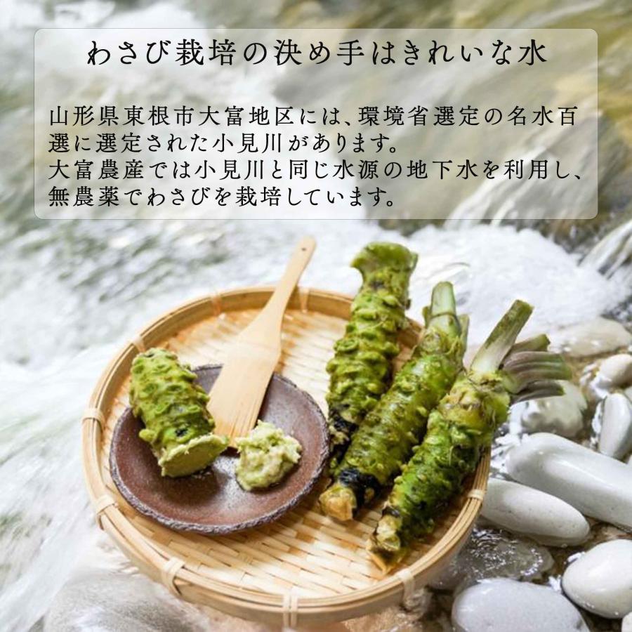 わさび 本わさび 10本 大サイズ 約60〜80g 山形 東根 大富農産 wasabi
