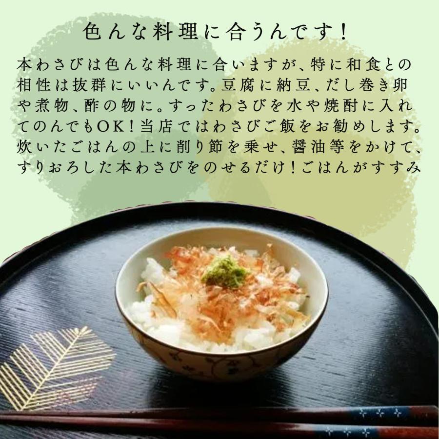 食品 6/13〜発送 生わさび 使い切りサイズ1kg 農家直送 伊豆産 山葵 野菜