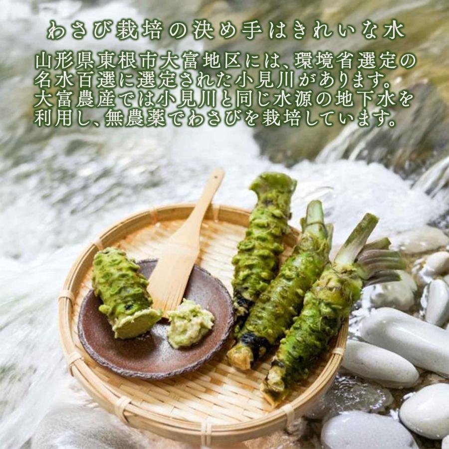 わさび 本わさび 1本 大サイズ 約60〜80g 山形 東根 大富農産 wasabi クール便 送料無料 : 山形の果物・お酒～まるごと山形 ...