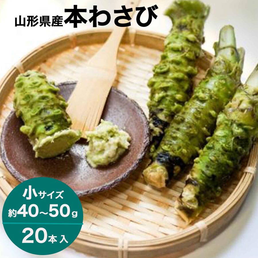 わさび 本わさび 20本 小サイズ 約40〜50g 山形 東根 大富農産 wasabi