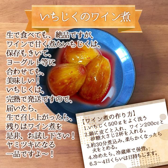 現在発送中 9月10月お届け フルーツ いちじく 山形県産 イチジク 生