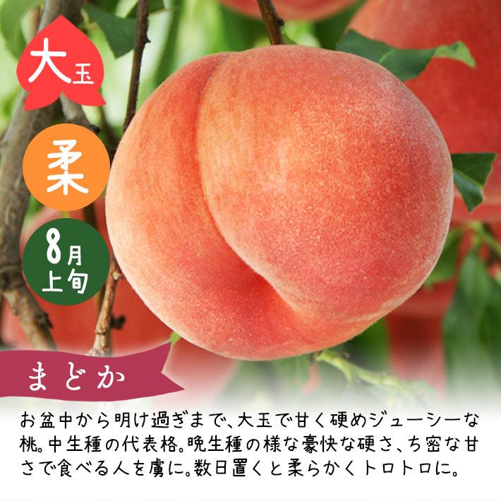 フルーツ 桃 特大サイズ まどか2.5kg 6〜8玉 8月お届けご予約 山形県 