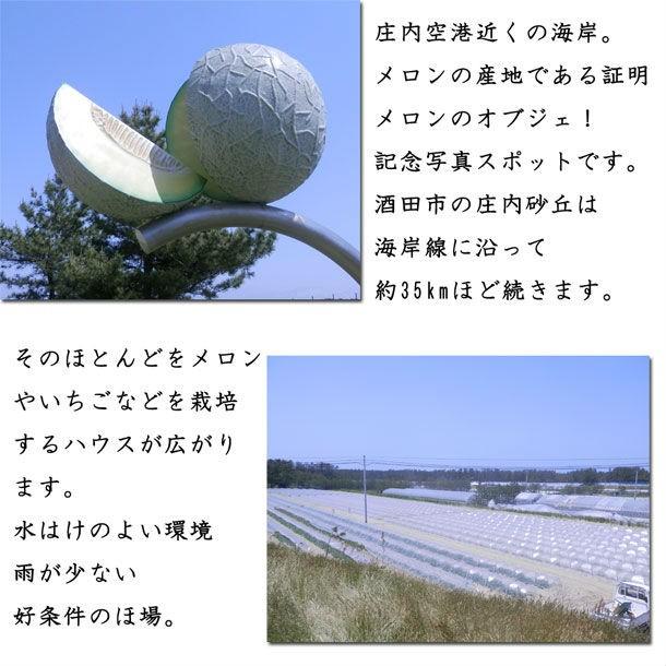 お中元 2024 ギフト フルーツ メロン 送料無料 山形県庄内産アンデスメロン 秀３L 2玉 青肉｜yamagatamaru｜03