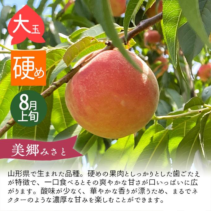 8月上旬お届け 桃 かため 美郷 みさと 約3kg（玉数おまかせ） 山形県
