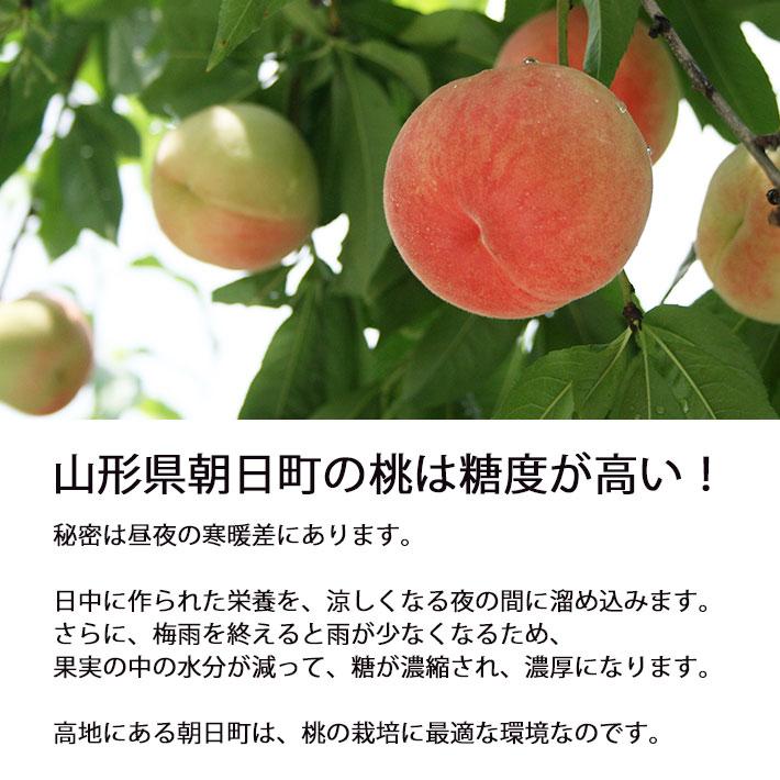 8月上旬お届け 桃 かため 美郷 みさと 約3kg（玉数おまかせ） 山形県