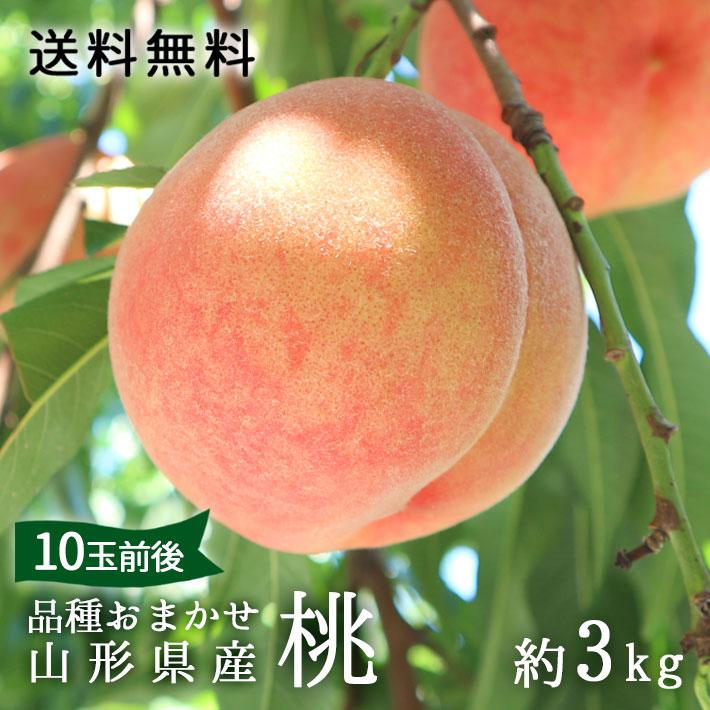 フルーツ 桃 山形県産 送料無料 白桃 黄桃 品種おまかせ 約3kg（10玉
