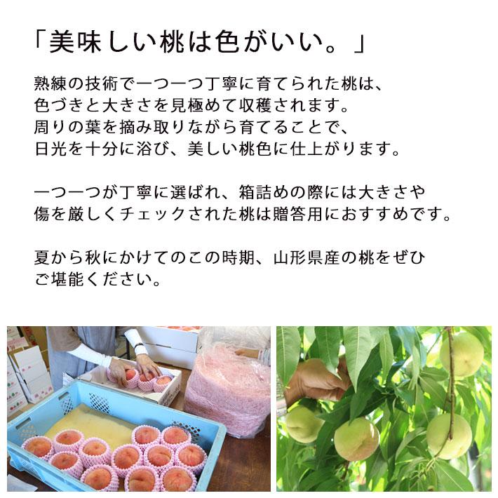 現在発送中 かたい桃 硬い桃 山形県産 CX シーエックス白桃 桃 約3kg