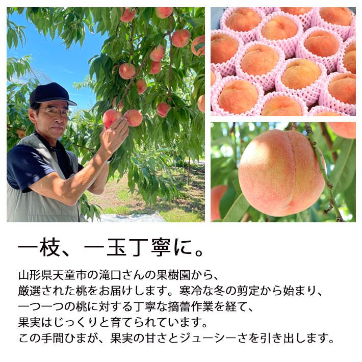 フルーツ 桃 山形県産 送料無料 白桃 黄桃 品種おまかせ 約3kg（10玉
