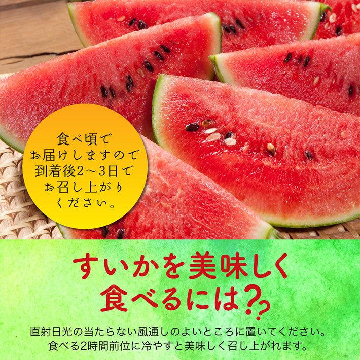 8月発送 すいか 大玉 最高級 尾花沢スイカ 2L 約7kg 送料無料 山形県