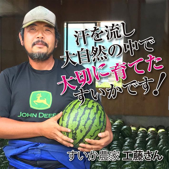 8月発送 すいか 大玉 最高級 尾花沢スイカ 3L 約8kg 送料無料 山形県