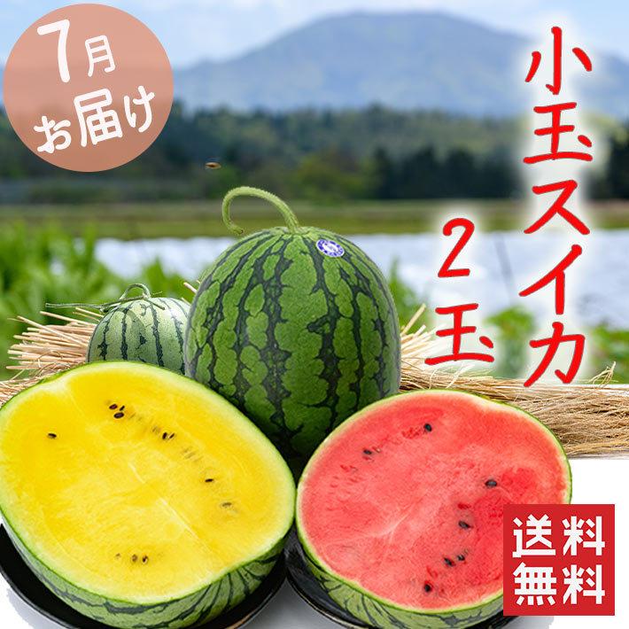 7月中旬〜7月下旬発送 御中元 スイカ 2色の小玉すいかセット 山形県産