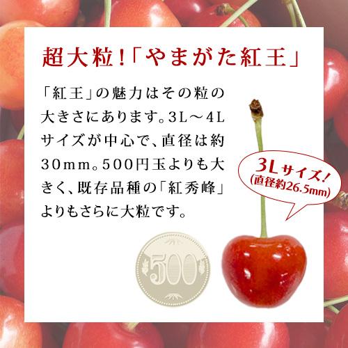 7月上旬お届け さくらんぼ 大粒 贈答用 紅王 やまがた紅王 山形県産 特