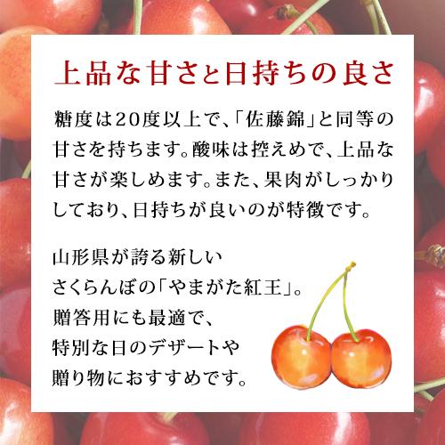 7月上旬お届け さくらんぼ 大粒 贈答用 紅王 やまがた紅王 山形県産 特