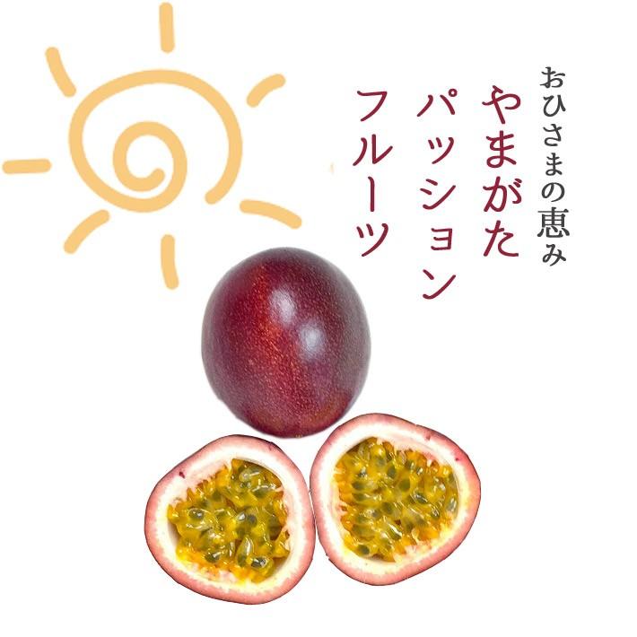 山形県産 国産 パッションフルーツ M〜Lサイズ 10〜12玉約1kg(玉