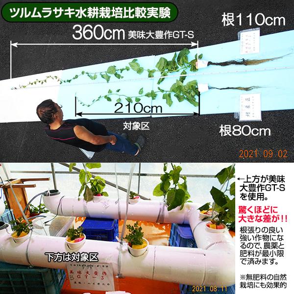 植物活力液 美味大豊作 GT-S 10L 活性剤 天然成分 100% 収穫量 糖度 アップ 豊作 液体 肥料 液肥 植物活性剤 植物活力剤 土壌改良剤 送料無料｜yamagataya88｜14