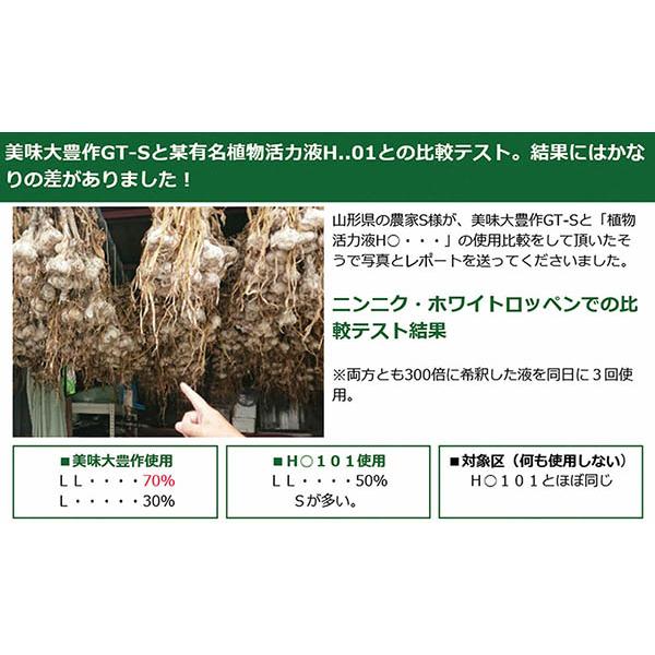 植物活力液 美味大豊作 GT-S 10L 活性剤 天然成分 100% 収穫量 糖度 アップ 豊作 液体 肥料 液肥 植物活性剤 植物活力剤 土壌改良剤 送料無料｜yamagataya88｜18