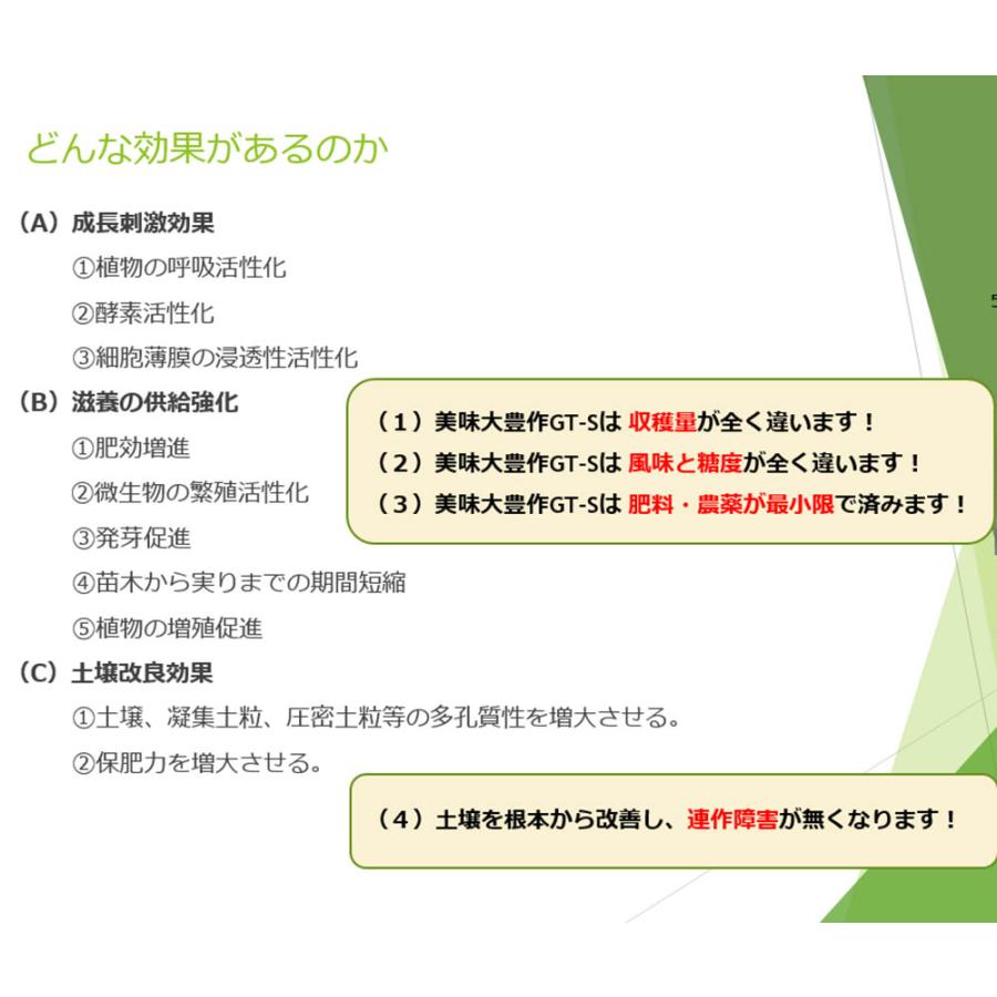 植物活力液 美味大豊作 GT-S 10L 活性剤 天然成分 100% 収穫量 糖度 アップ 豊作 液体 肥料 液肥 植物活性剤 植物活力剤 土壌改良剤 送料無料｜yamagataya88｜05