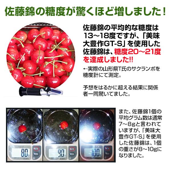 植物活力液 美味大豊作 GT-S 20L 活性剤 天然成分 100% 収穫量 糖度