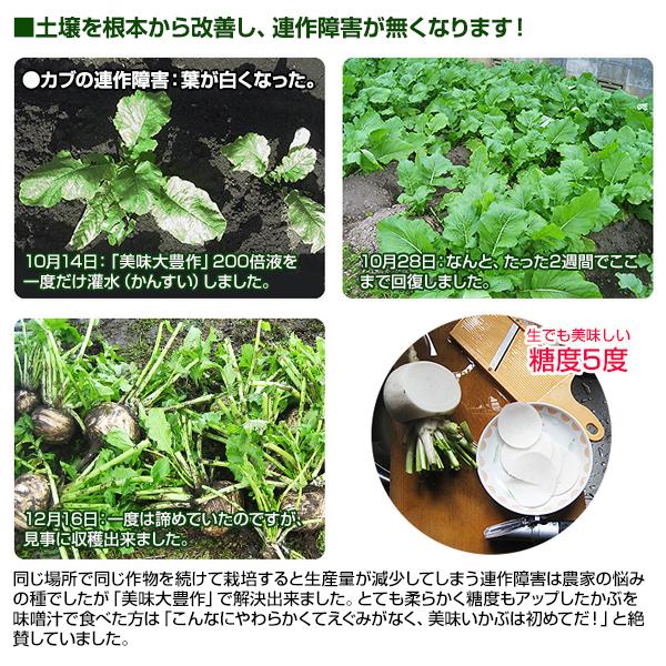 植物活力液 美味大豊作 GT-S 20L 活性剤 天然成分 100% 収穫量 糖度