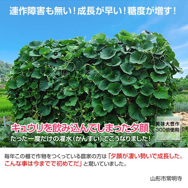 植物活力液 美味大豊作 GT-S 20L 活性剤 天然成分 100% 収穫量 糖度