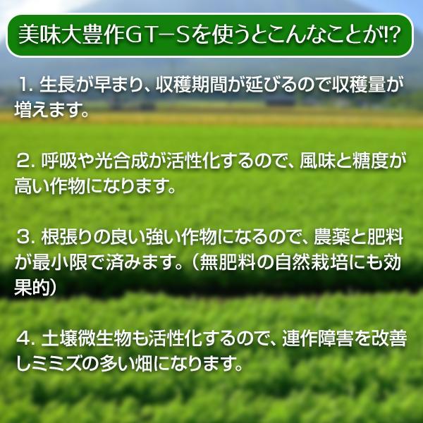 植物活力液 美味大豊作 GT-S 20L 活性剤 天然成分 100% 収穫量 糖度