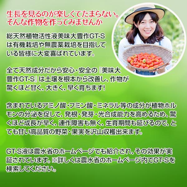 植物活力液 美味大豊作 GT-S 20L 活性剤 天然成分 100% 収穫量 糖度