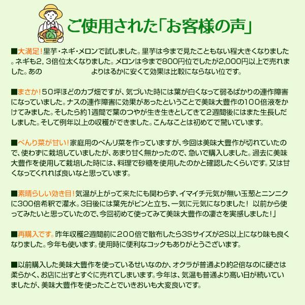 植物活力液 美味大豊作 GT-S 20L 活性剤 天然成分 100% 収穫量 糖度