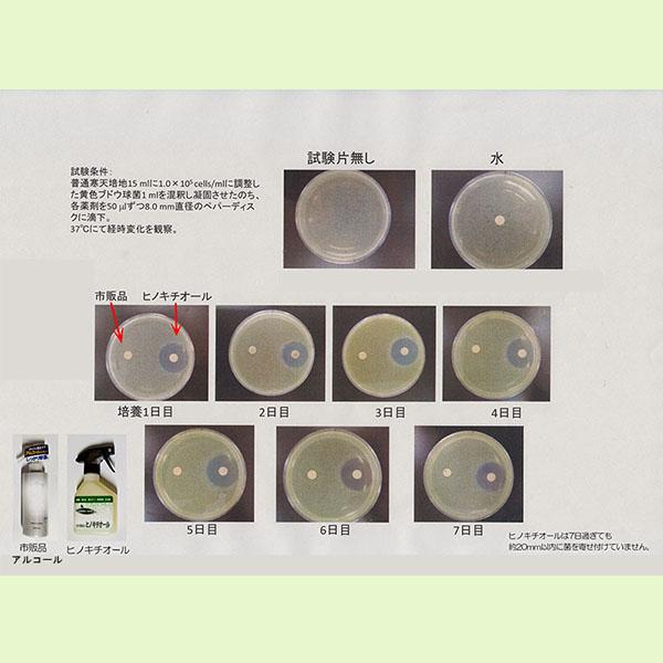 天然 ヒバ抽出 ヒノキチオール 20L 除菌 スプレー 消臭 無添加 防虫 防