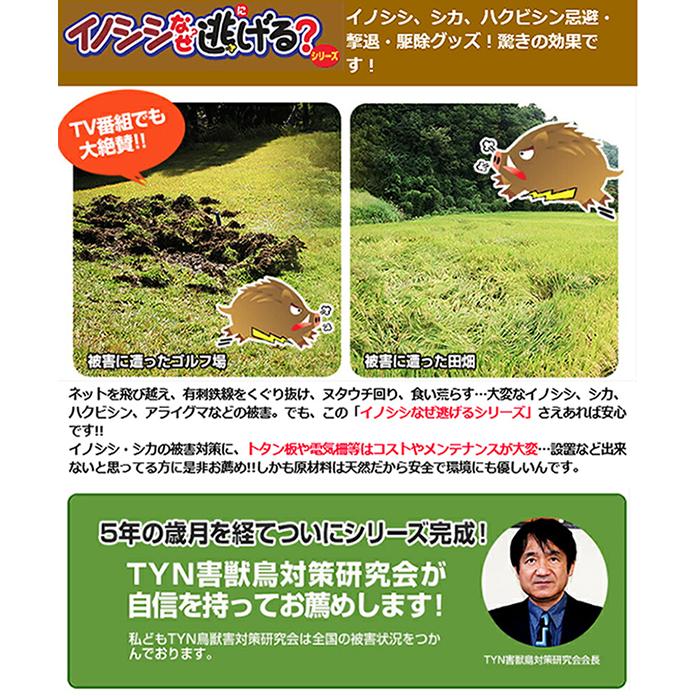 イノシシ撃退!イノシシなぜ逃げる 農業、メンテナンス、業務用7枚 GOwuyFyivq, その他 - contrologypf.com イノシシ撃退!イノシシなぜ逃げる 農業、メンテナンス、業務用7枚 GOwuyFyivq, その他 - contrologypf.com