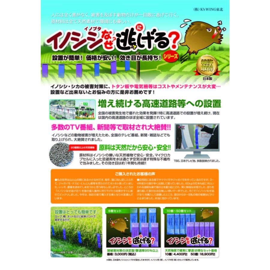 イノブタなぜ逃げる 10個セット イノシシ撃退グッズ イノシシ対策 グッズ Kb 008 山形屋ヤフー店 通販 Yahoo ショッピング