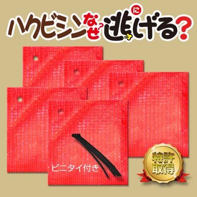 ハクビシンなぜ逃げる? 屋内用 5個セットト 便利グッズ ハクビシン は