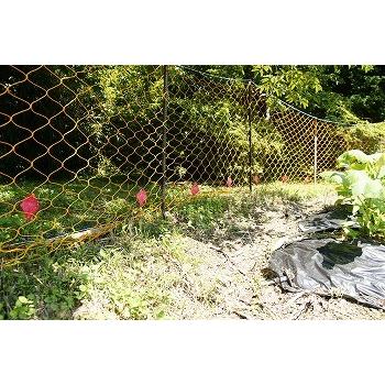 ハクビシンなぜ逃げるニュー改訂版 屋根裏・天井裏用の屋内タイプ30枚