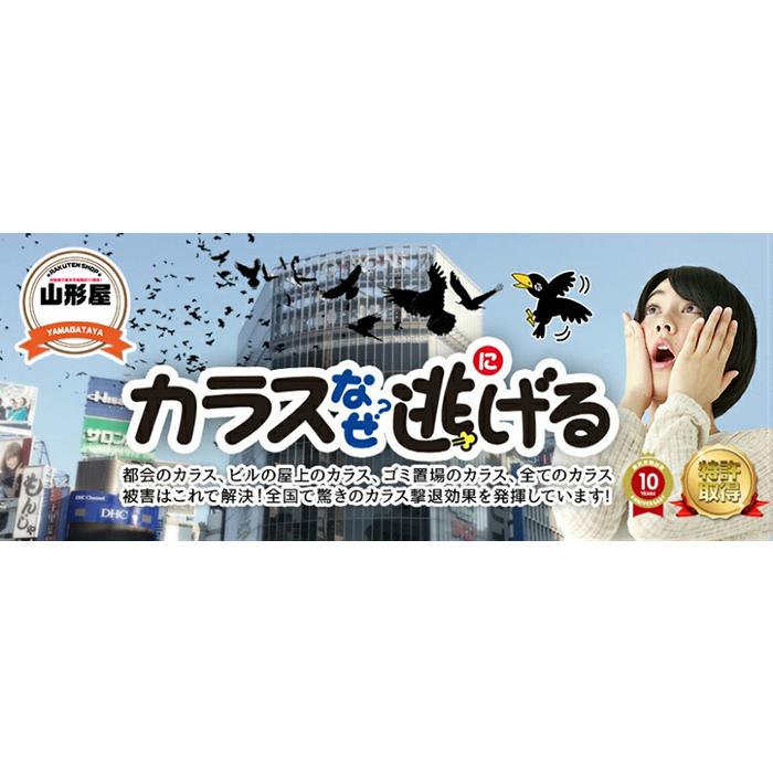 カラス 撃退   カラス対策  カラスよけ  カラスなぜ逃げる? ニューどこでもタイプ   撃退率95％以上  ２年以上効果持続  プロ業者採用  ゴミ置き場  (送料無料)｜yamagataya88｜11