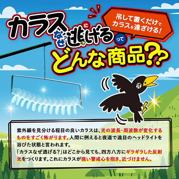 カラス 撃退   カラス対策  カラスよけ  カラスなぜ逃げる? ニューどこでもタイプ   撃退率95％以上  ２年以上効果持続  プロ業者採用  ゴミ置き場  (送料無料)｜yamagataya88｜06