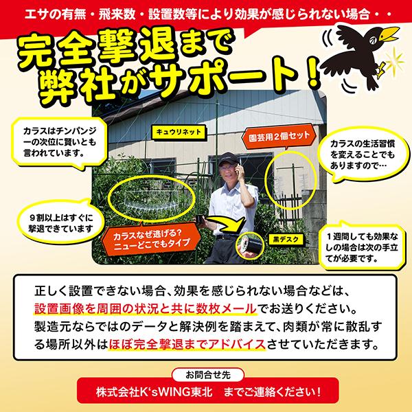 カラス 撃退 カラスなぜ逃げる? ニューどこでもタイプ 撃退率95%以上 便利グッズ カラス対策 カラス除け ゴミ置き場(送料無料) :KS-015:山形屋ヤフー店 - 通販 - Yahoo!ショッピング カラス 撃退 カラスなぜ逃げる? ニューどこでもタイプ 撃退率95%以上 便利グッズ カラス対策 カラス除け ゴミ置き場(送料無料) :KS-015:山形屋ヤフー店 - 通販 - Yahoo!ショッピング