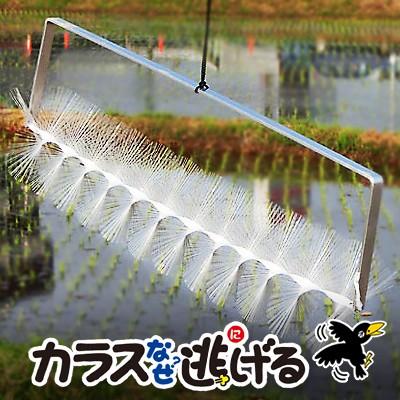 カラス 撃退 カラス対策 カラスよけ カラスなぜ逃げる? ニューどこでも